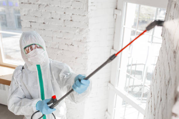 Best Air Quality Testing for Mold Spores  in La Puebla, NM