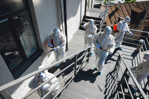 Best Mold Prevention Services  in La Puebla, NM