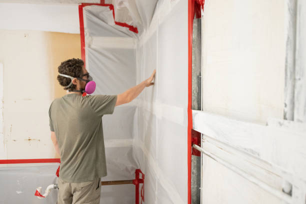 Best Emergency Mold Remediation  in La Puebla, NM