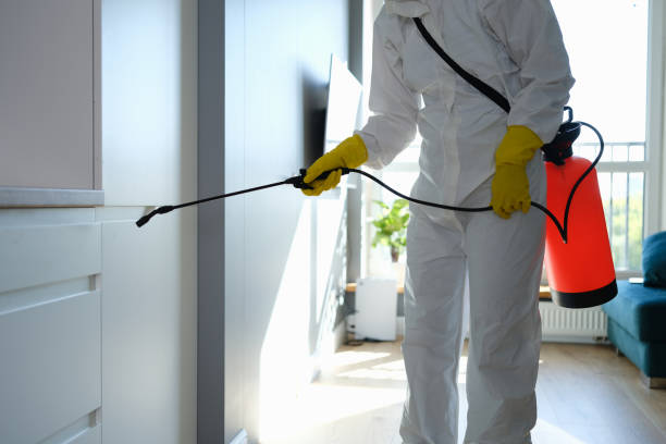 Best Basement Mold Removal  in La Puebla, NM