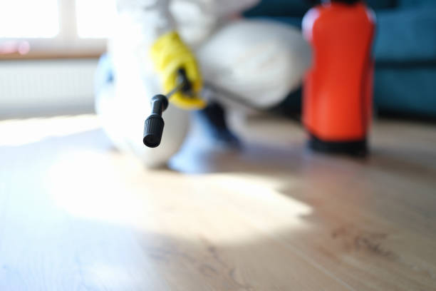 Best Mold Odor Removal Services  in La Puebla, NM