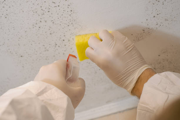Dehumidification Services in La Puebla, NM