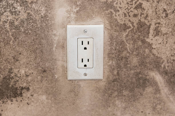 Best Mold Damage Restoration  in La Puebla, NM